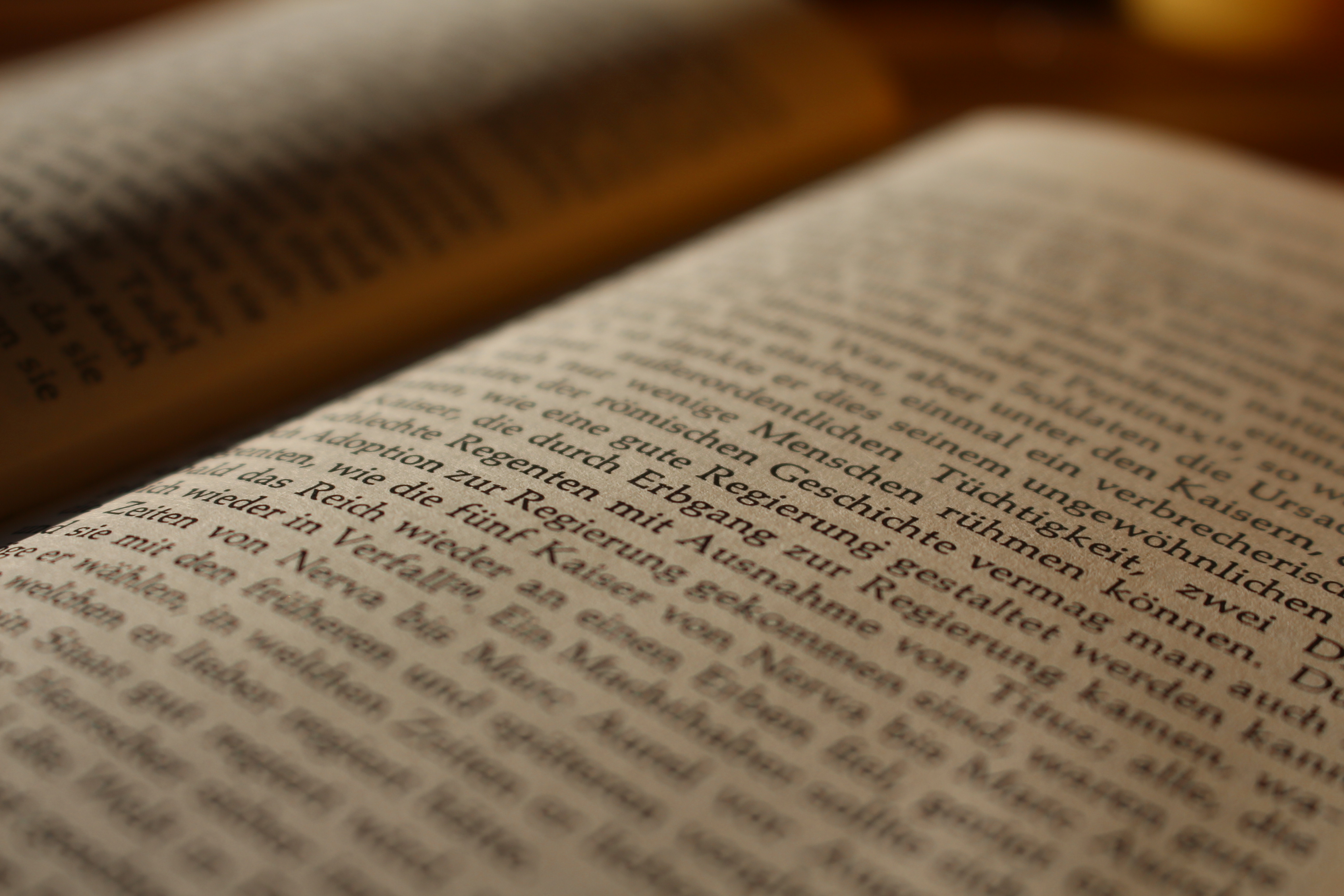Niccolò Machiavelli Discorsi Gedanken über Politik und Staatsführung.