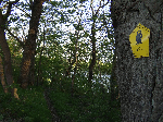 Eiche Neverin Richtung Glocksin